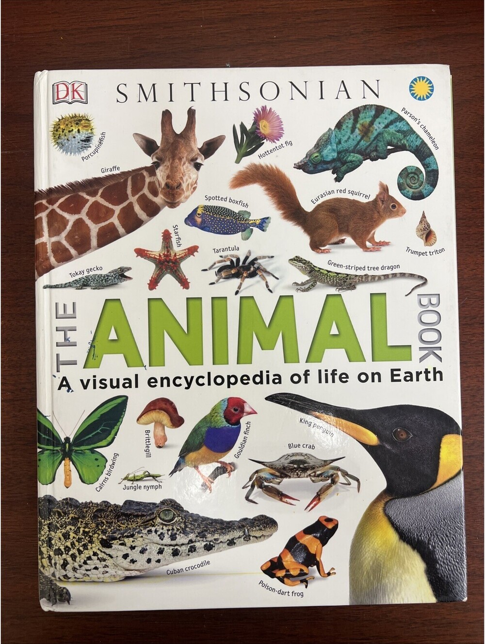 Animal Book : A Visual Animal Kingdom Encyclopedia for Kids by David Burnie...
